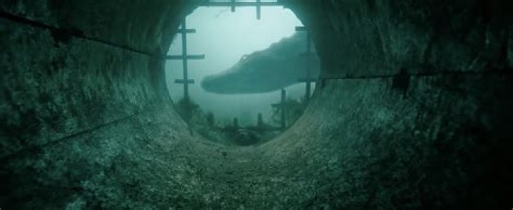 Crawl review: best alligators-attack-in-a-hurricane disaster movie ever