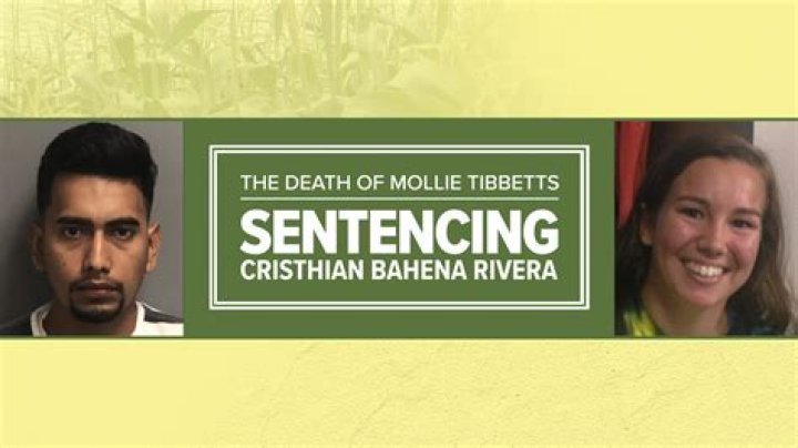Cristhian Bahena Rivera Wikipedia: Mollie Tibbetts Murder Suspect