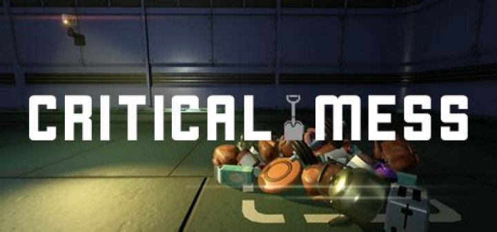 	Critical Mass or critical mess?	