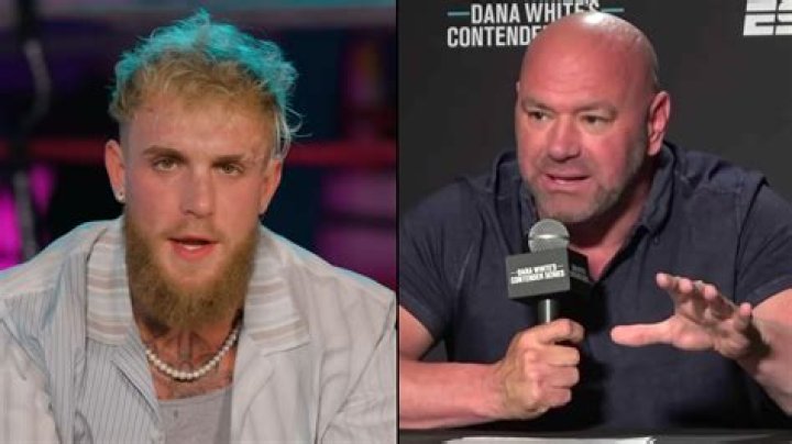 Dana White scoffs at Jake Paul's UFC challenge: 