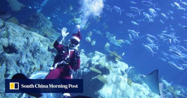 Dashing through the shoals with jolly St Nick as Ocean Park courts visitors