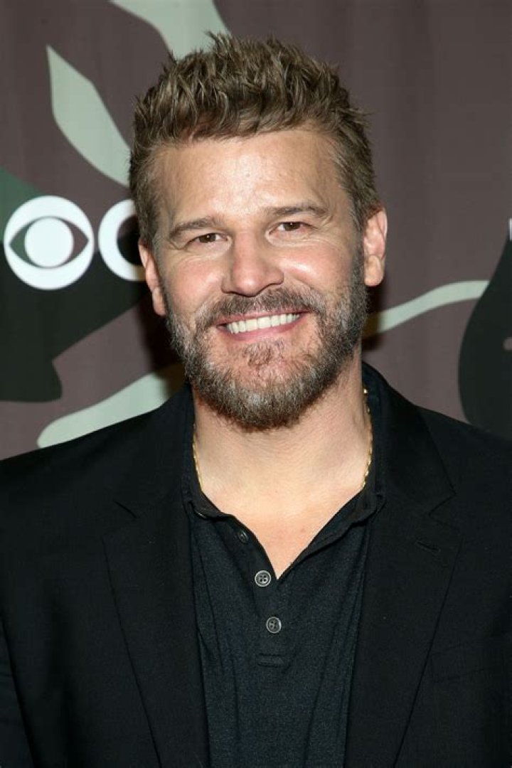 David Boreanaz Net Worth 2024