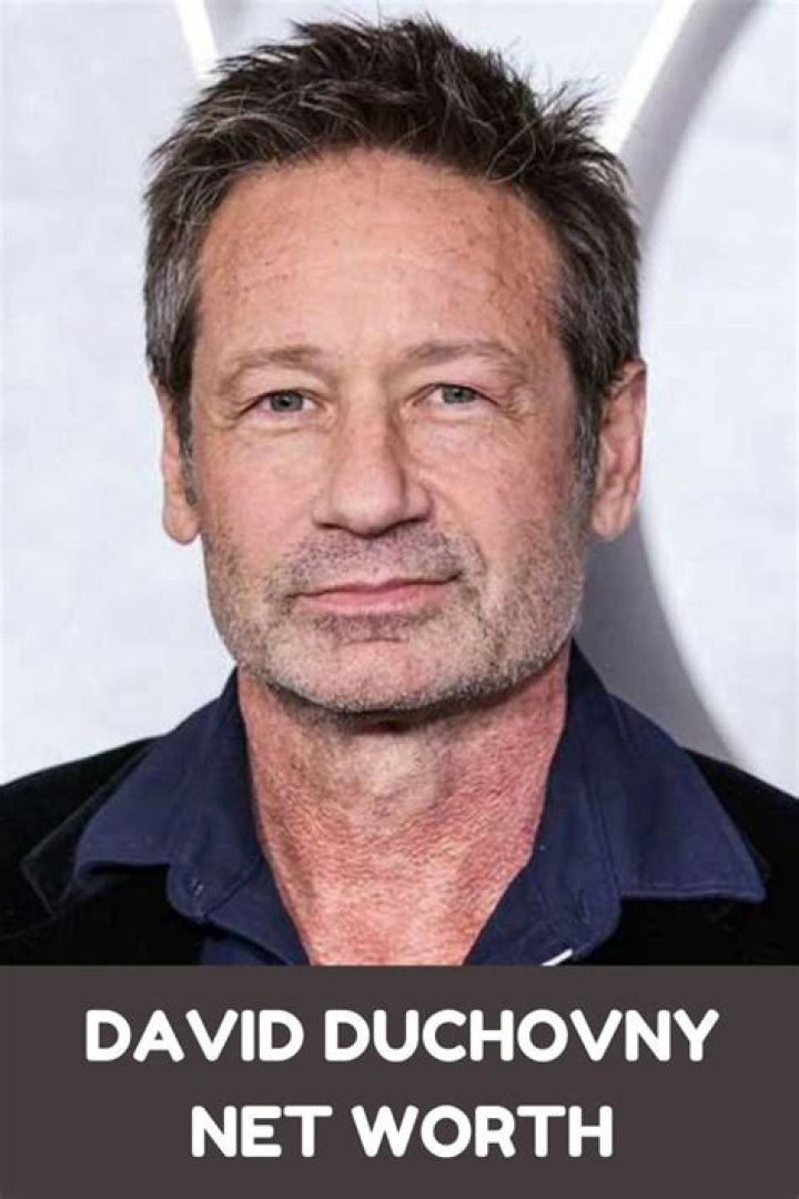 David Duchovny Net Worth 2024