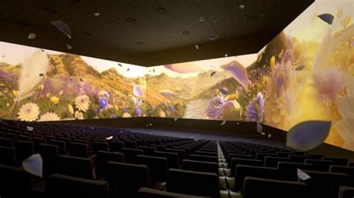 	Davie theater to test new panoramic movie effect	