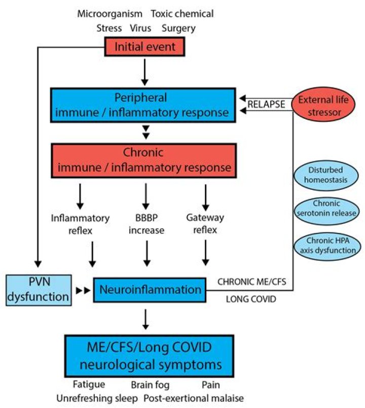 Dee Dee Autopsy: Understanding The Complexities Of A Tragic Case