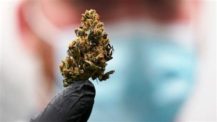 DeSantis criticizes recreational marijuana initiative