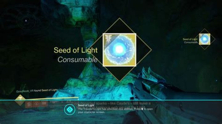 Destiny 2 Forsaken: How to Get More Seeds of Light