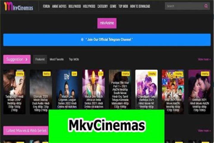 Discover The World Of Cinema With Mkvcinema.com