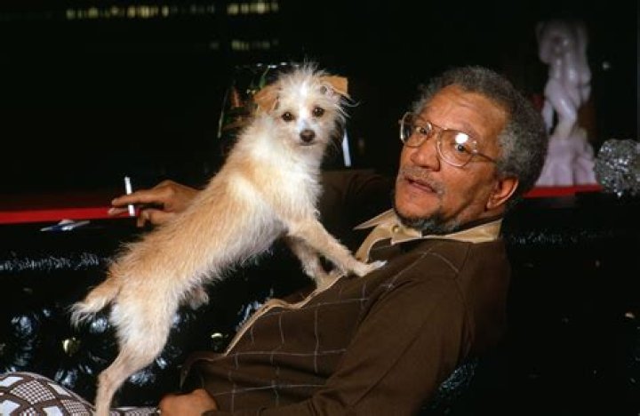Discovering The Enigmatic Redd Fox: A Journey Through His Life And Legacy