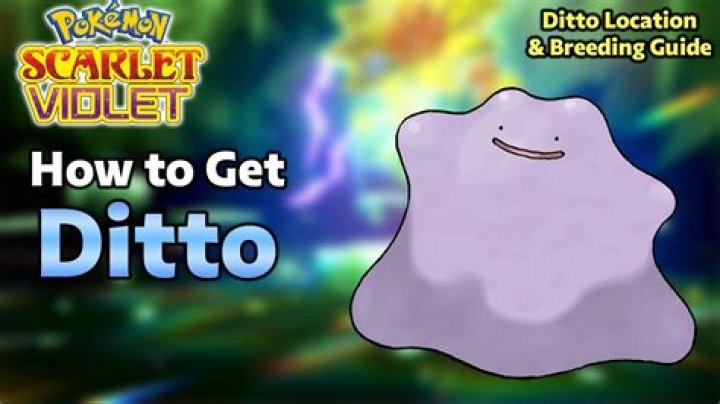 Ditto location in Pokémon Scarlet and Violet: Where to catch Ditto