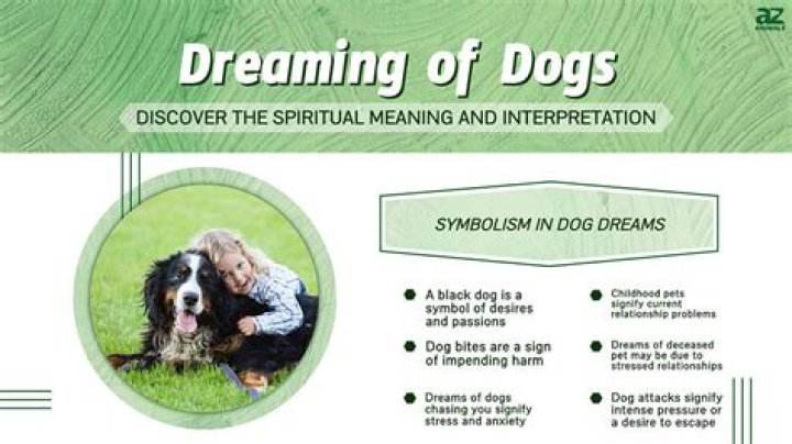 Do dogs dream? Yes. Do they have nightmares? Yes. Here’s how you can help