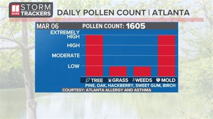 	Doctors say pollen count in Palm Beach County causing one of the worst allergy seasons on record	