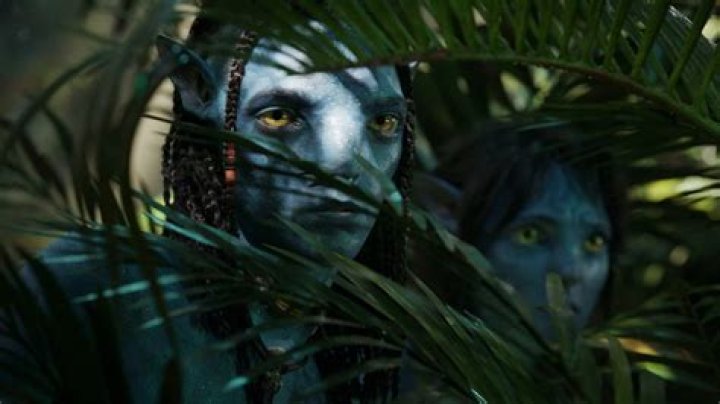 Does Avatar 2 have an intermission? Explained