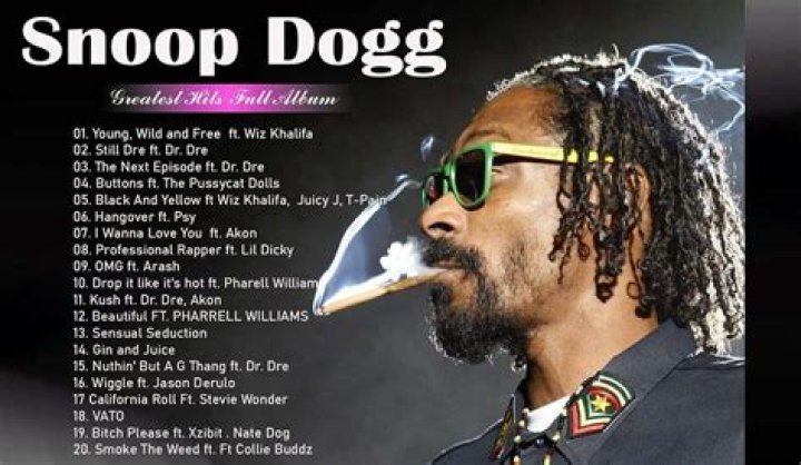 Does Snoop Dogg Have A Felony? An In-Depth Exploration