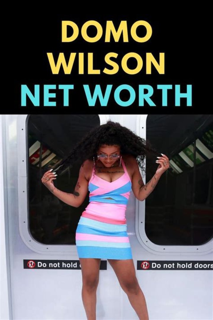 Domo Wilson Net Worth 2024
