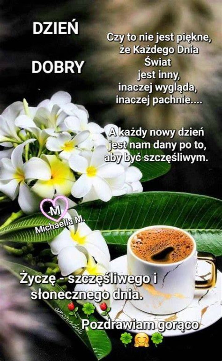 	DZIEN DOBRY! (HI)	