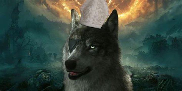 Elden Ring players claim they are being banned for no reason with 