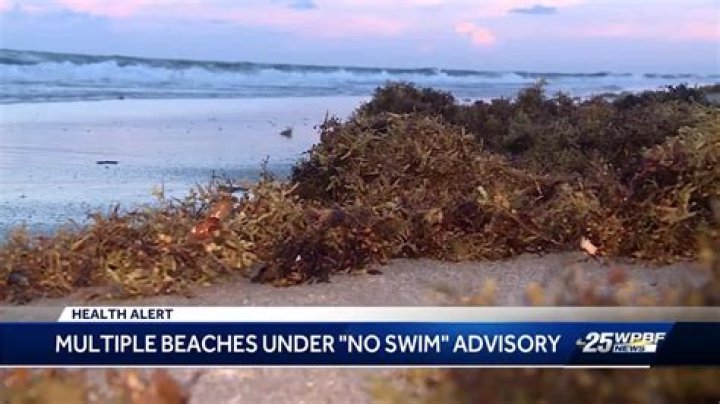 
Environment |	No-swim advisories issued for some Palm Beach County beaches	