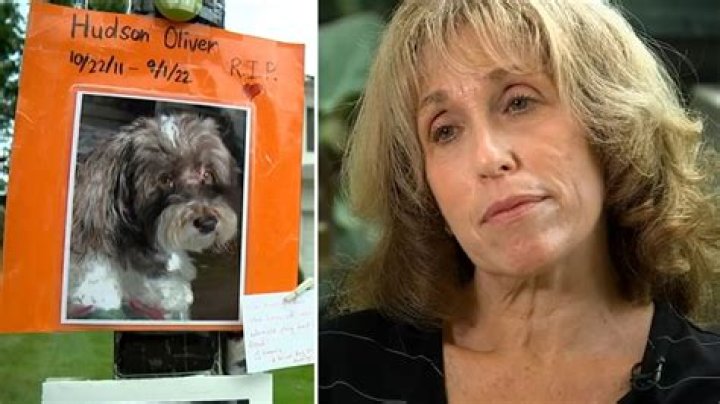 Erica Pearl Obituary Plainview Long Island NY, Erica Pearl Has Died – Death