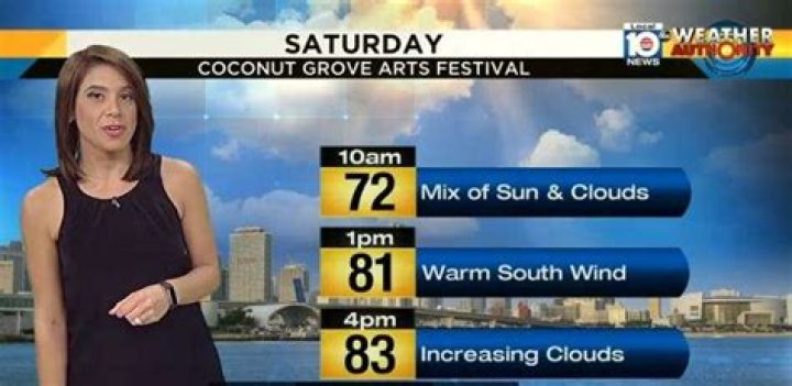 Erika Delgado Weather, Wikipedia Bio, Engaged Married, Age, Channel 10