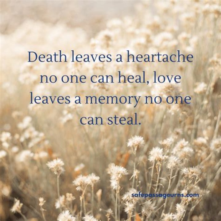 Evan Jones Obituary, A Precious Soul Gone Too Soon – Death