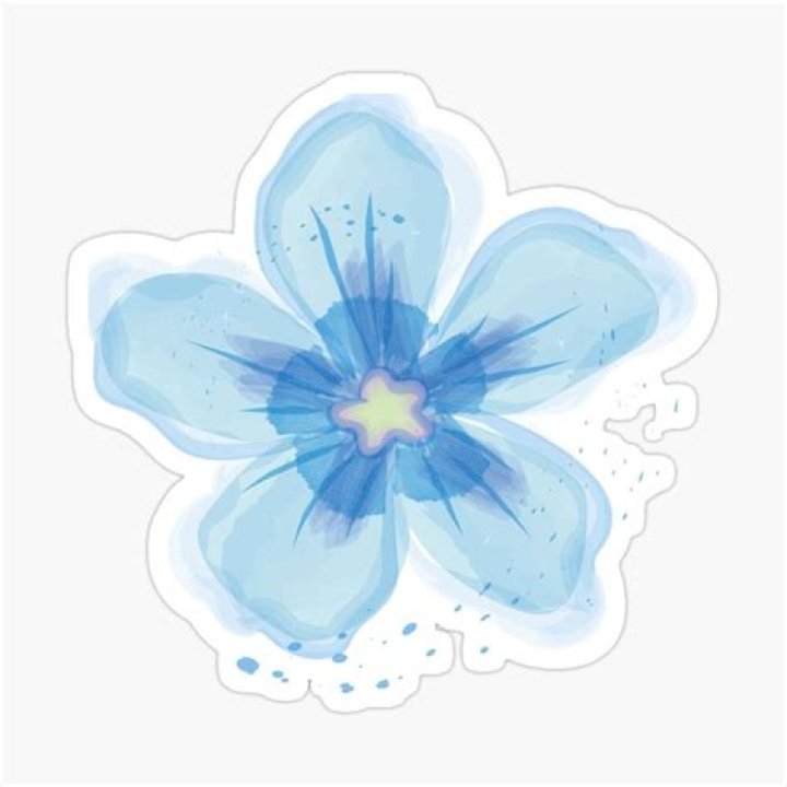 Everything About Blue Lotus - Crispme