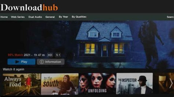 Everything You Need To Know About Downloadhub.network