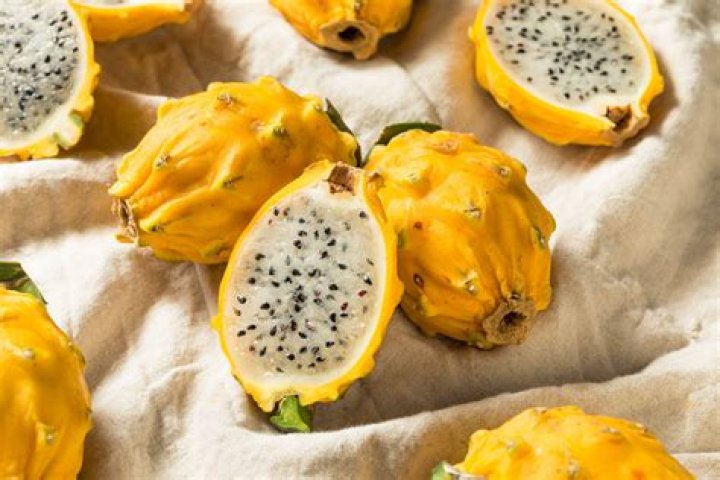 	EXOTIC FRUIT RIPE TO HARVEST U.S. MARKET	