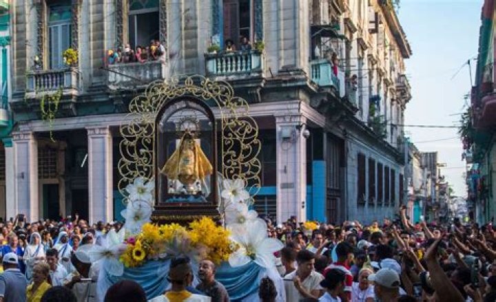 	EXPERT BACKS BID OF SANTERIA CULT ALLOW OPEN ANIMAL SACRIFICE, JUDGE TOLD	