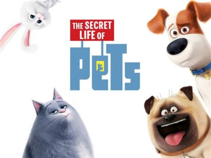 Exploring The Cast Of Pets Movies: A Comprehensive Guide