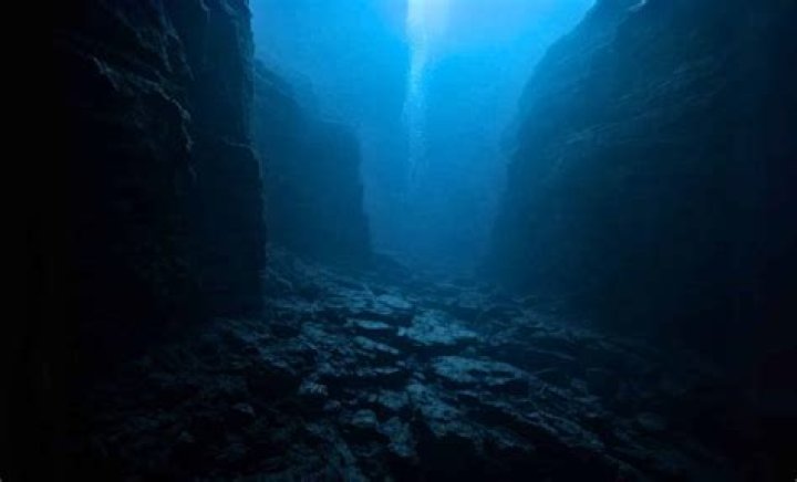 Exploring The Fascinating World Of Adrinalima
