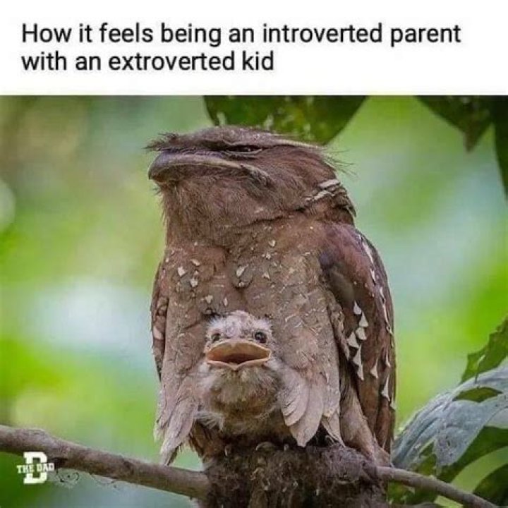 Exploring The Hilarious World Of Bill Gates' Daughter Meme