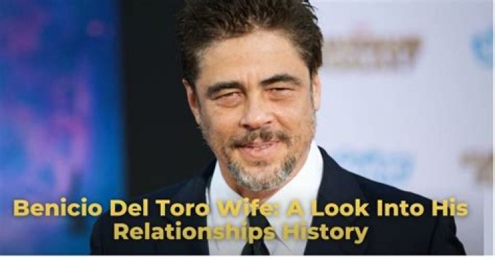 Exploring The Intriguing Relationships Of Benicio Del Toro