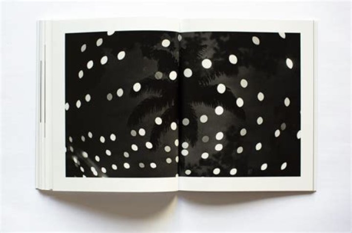 Exploring The Life And Legacy Of Marcelo Greco