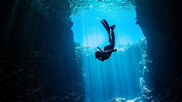 Exploring The Magic Of 