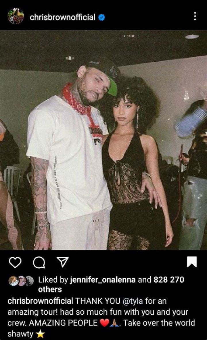 Exploring The Question: Is Chris Brown A Sister?