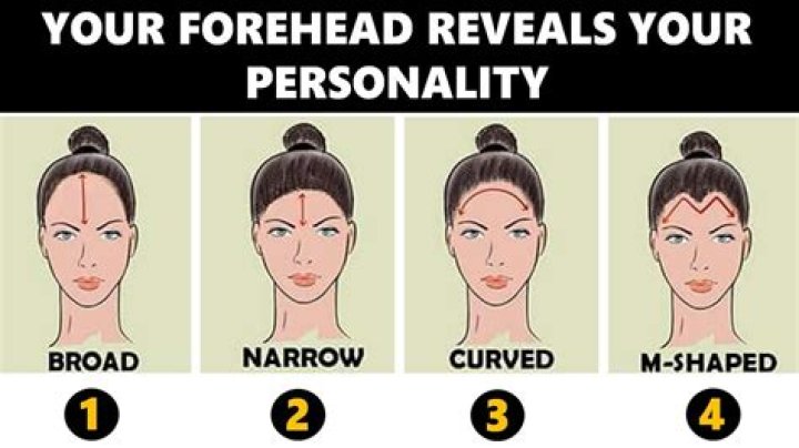Exploring The World Of The Biggest Forehead: A Comprehensive Guide