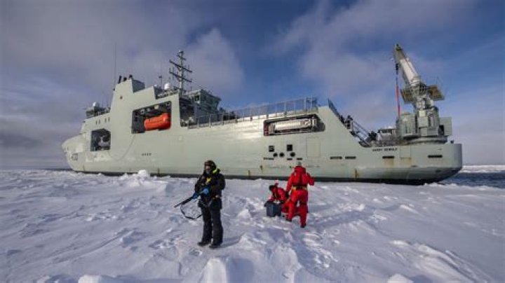 Exploring The Yamal Race: An Extreme Challenge In The Arctic