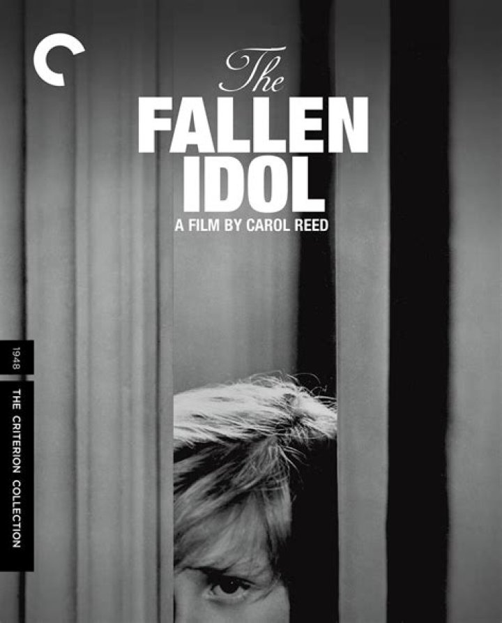 	FALLEN IDOL	