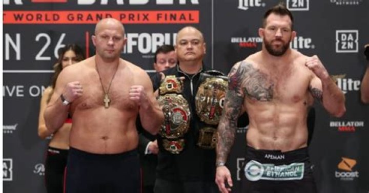 Fedor Emelianenko Vermögen