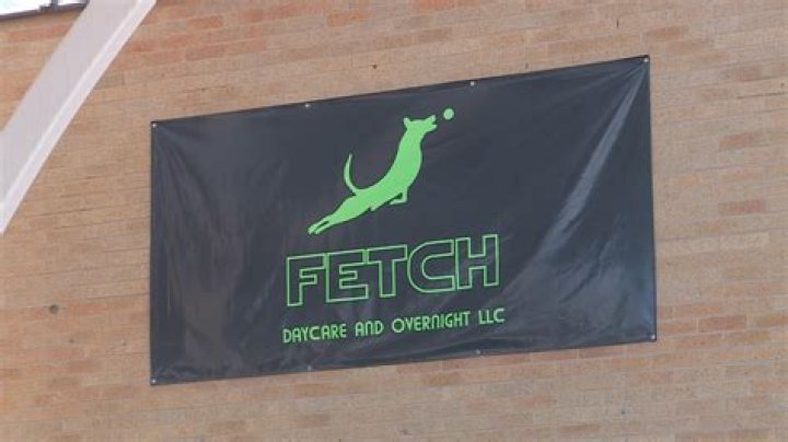 Fetch dog daycare shut down due to ‘potentially unsafe conditions’