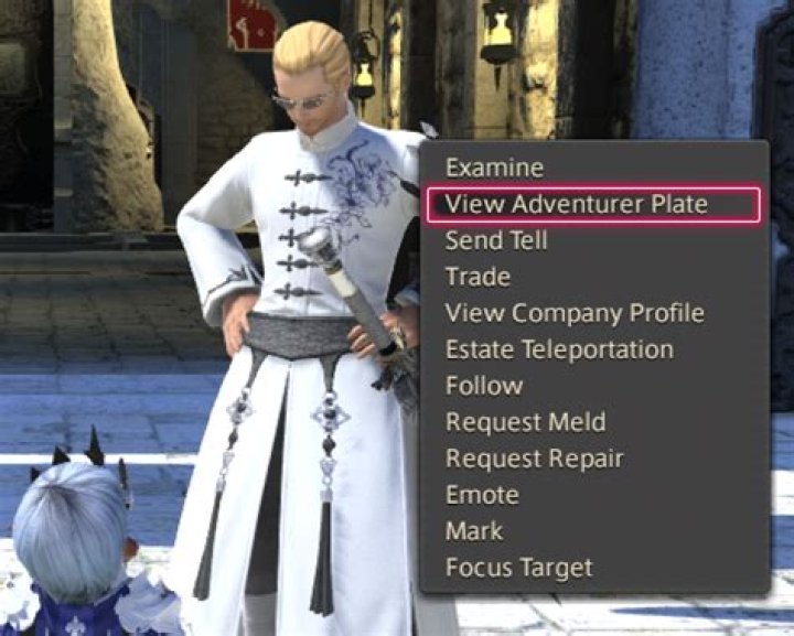 FFXIV Adventurer’s Plate: How to create & customize