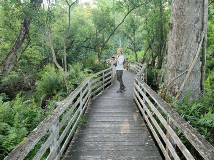 	Florida wilderness pros offer their four favorite shaded hikes for a great weekend getaway	