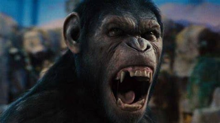 From 'Nope' to 'King Kong,' Why Apes Are Such Terrifying Killers