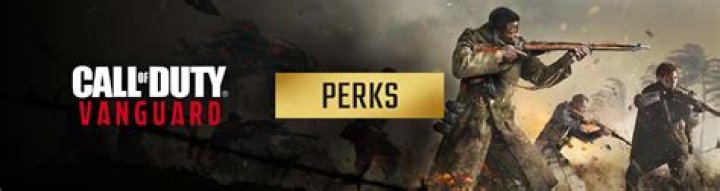 Full List of COD Vanguard Perks