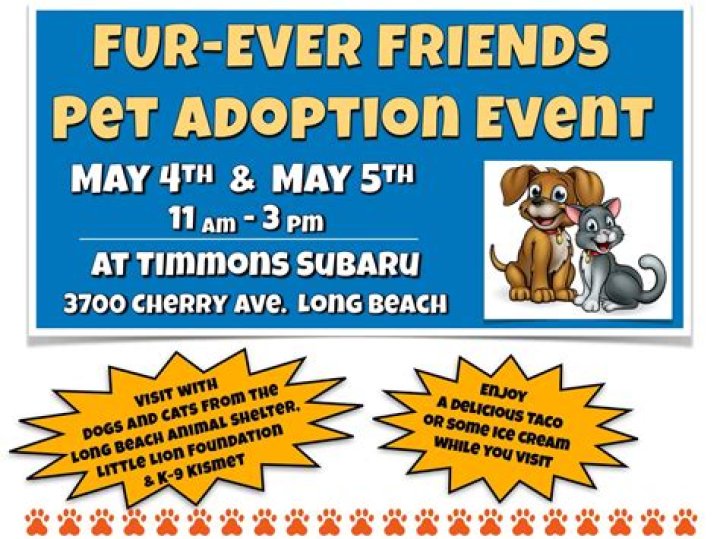 Fur-ever Friends: Adoptable pets available 11/12/19