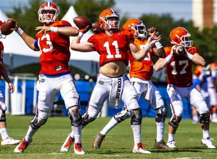 	Gators third-string QB Nick Sproles to transfer	