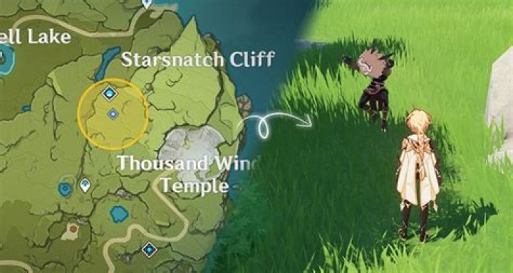 Genshin Impact Mimi Tomo Guide