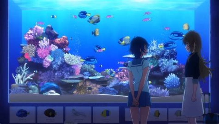 Gorgeous Aquarium Anime Aquatope of White Sand Debuts in July