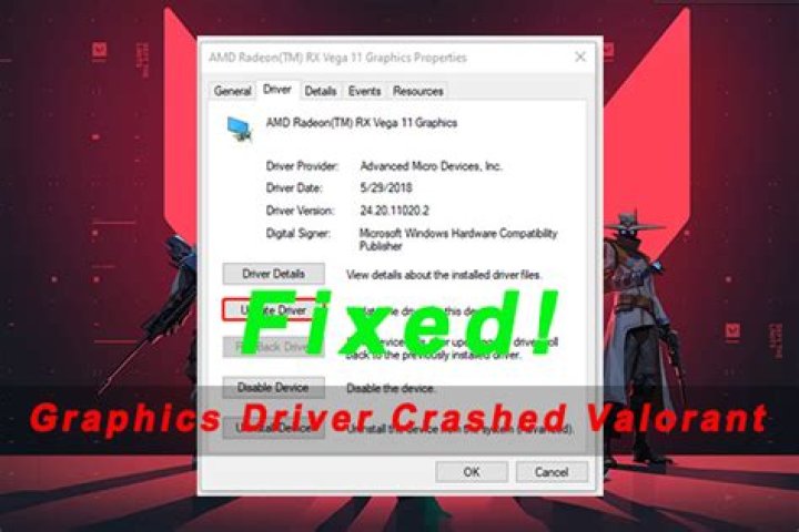 Graphics Card Driver Crashed Valorant Solution